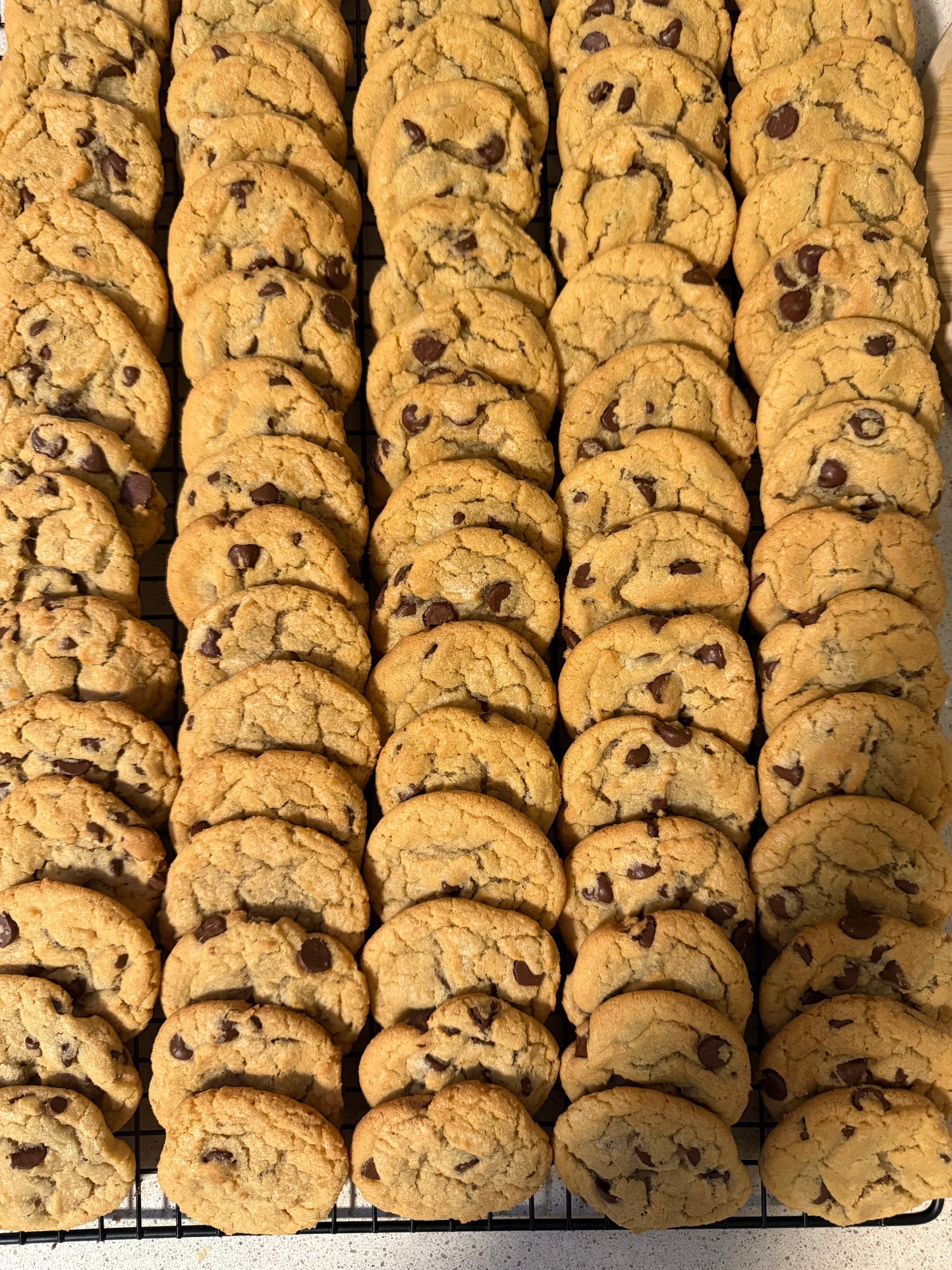OG Chocolate chip