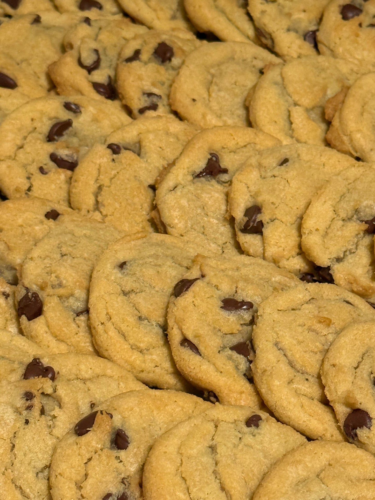 OG Chocolate chip